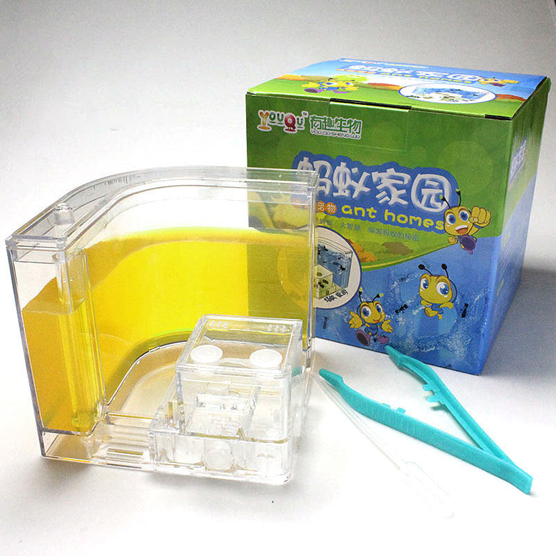 Ant Home Ecological Toys