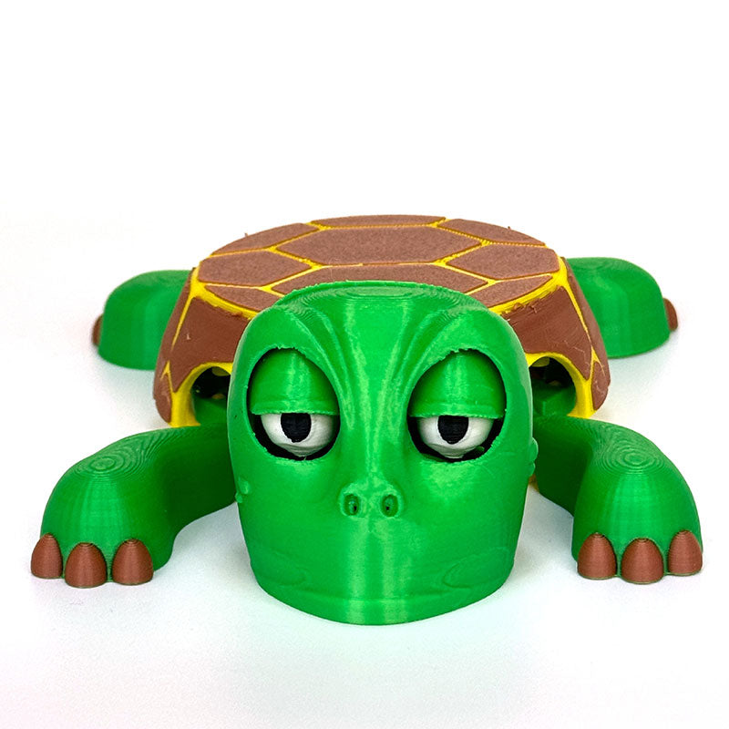 Creative Turtle Coasters