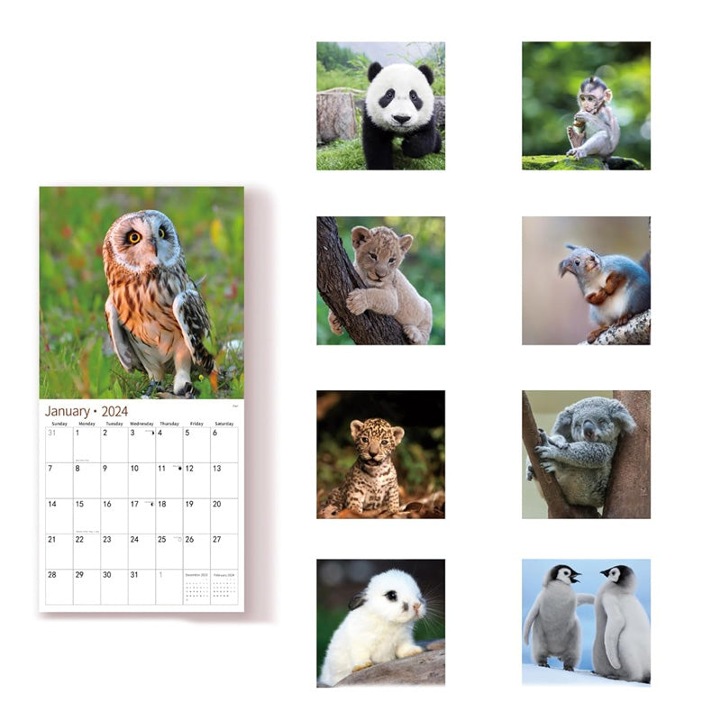 2024 Animals Wall Calendar