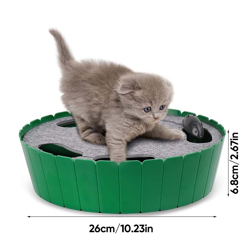 Electric Running Mouse Cat Toy