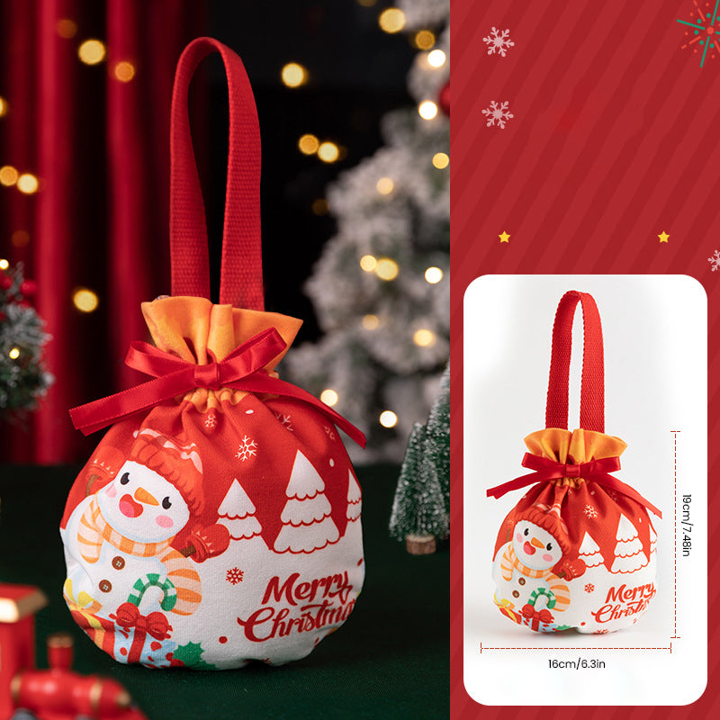 Christmas Apple Gift Bag