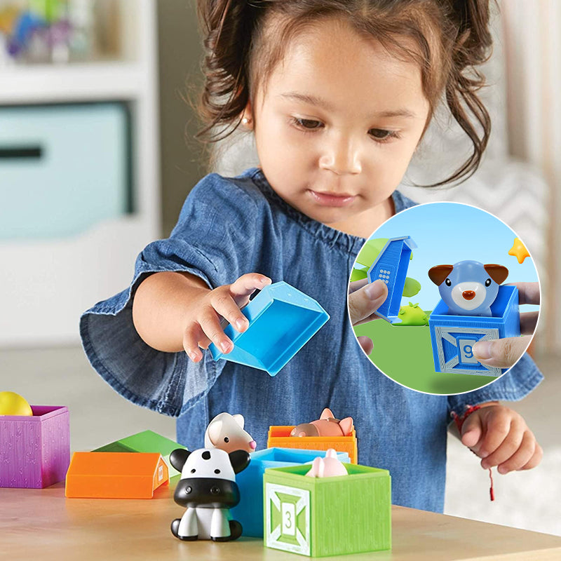 Counting Matching Sorting Toy
