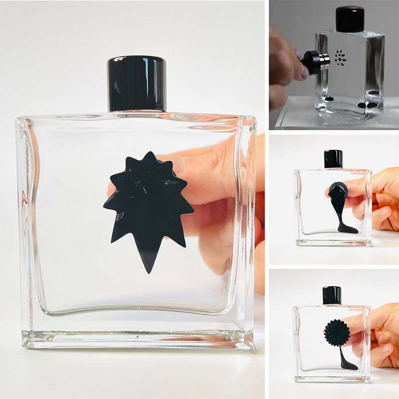 Ferrofluid Toy