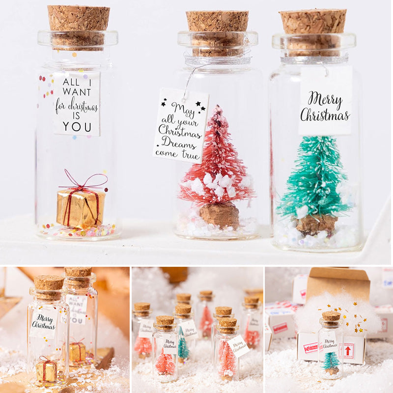 Christmas Card in a Bottle