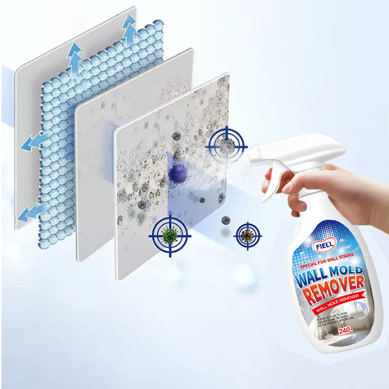 Lanwexy Highly Effective Mould Removal Spray