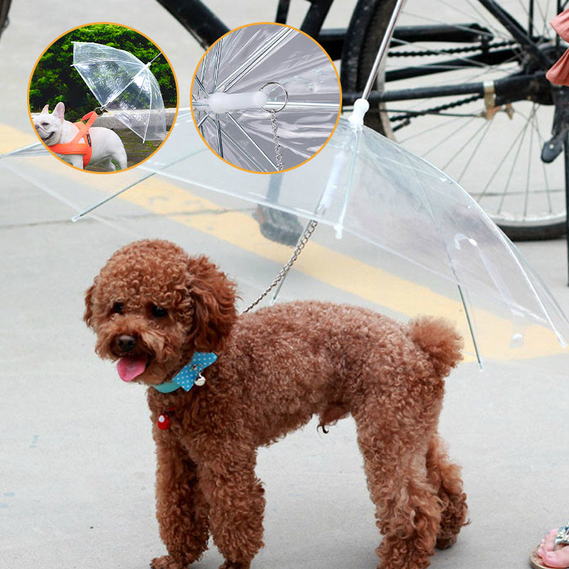 Dog Umbrella