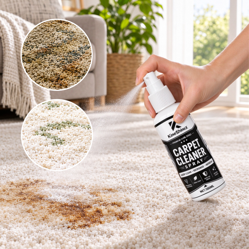 Multifunctional Carpet Cleaner