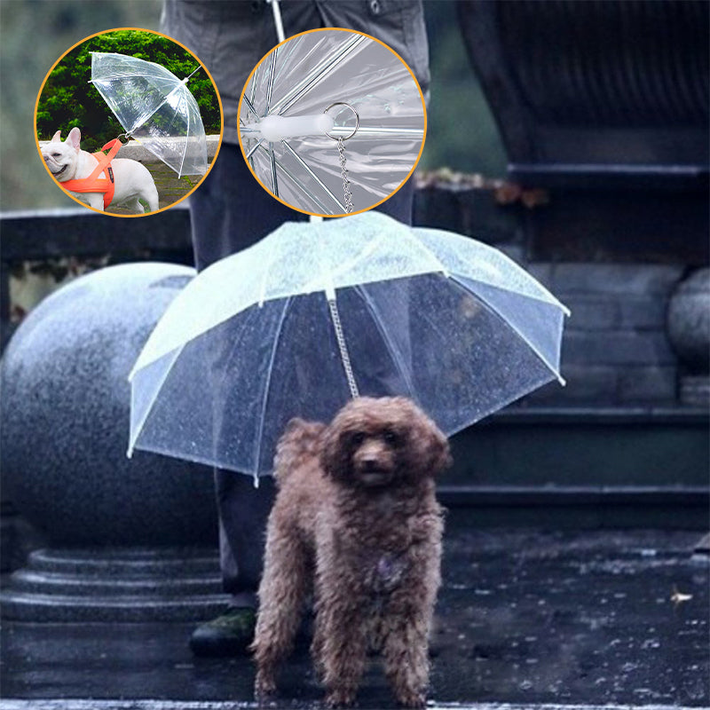 Dog Umbrella