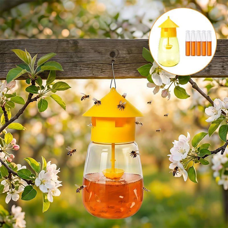 Outdoor Fruit Fly Trap