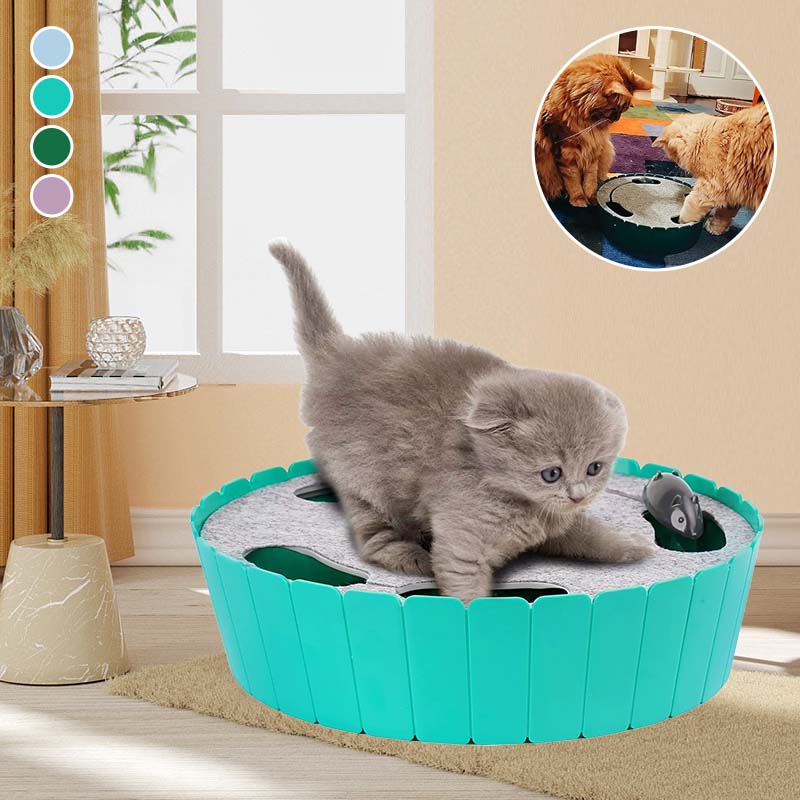 Electric Running Mouse Cat Toy
