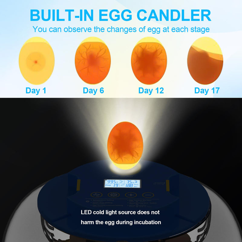 18 Egg Incubator with Automatic Egg Turning and Humidity Control