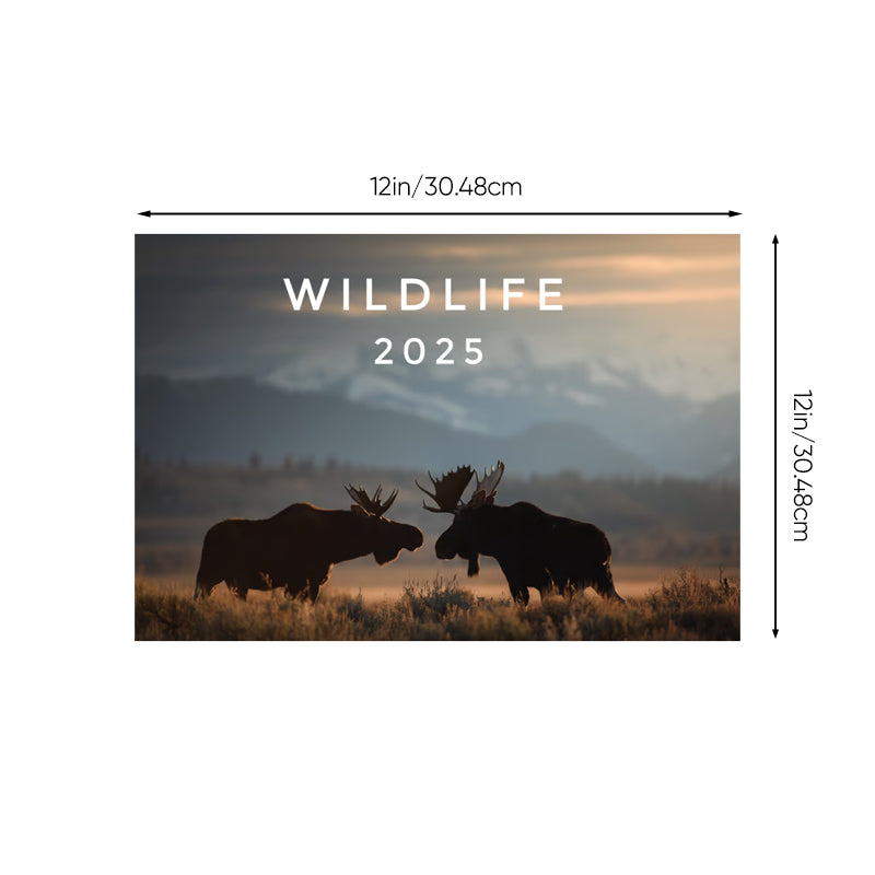 2025 Wildlife Calendar