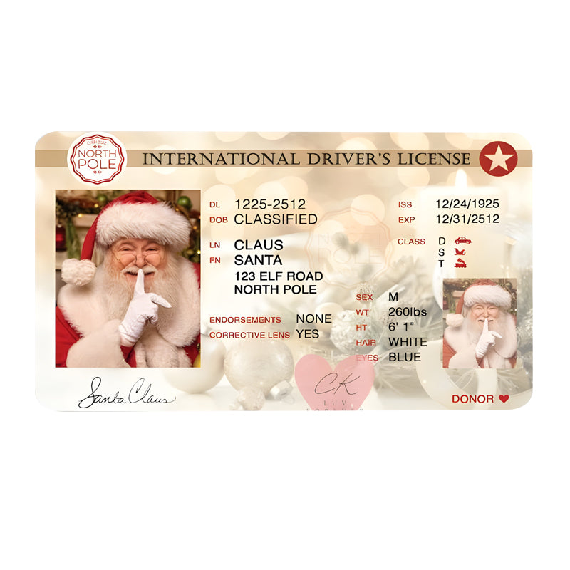 🎅Santa's Lost Drivers License|Funny Gifts For Kids