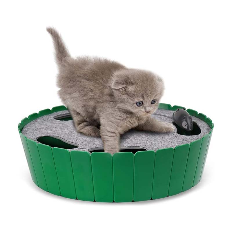 Electric Running Mouse Cat Toy