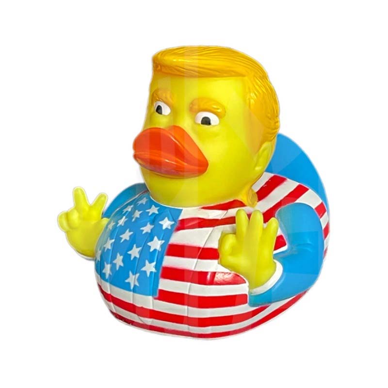 Cute funny duck