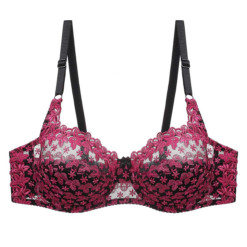 Embroidered Lace Bra