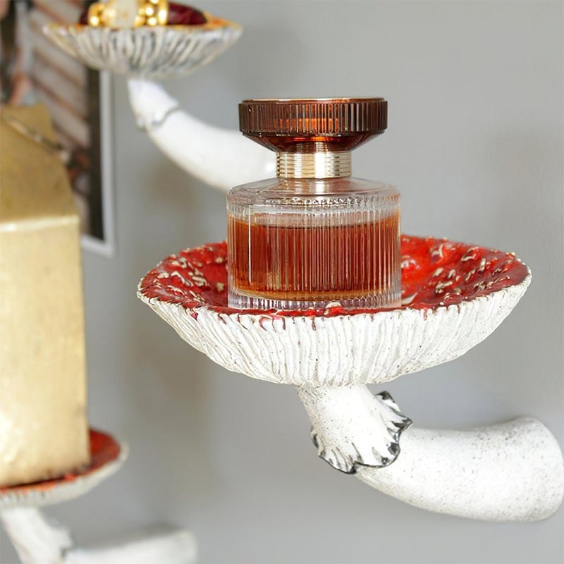 Mushroom Shaped Hanging Shelf