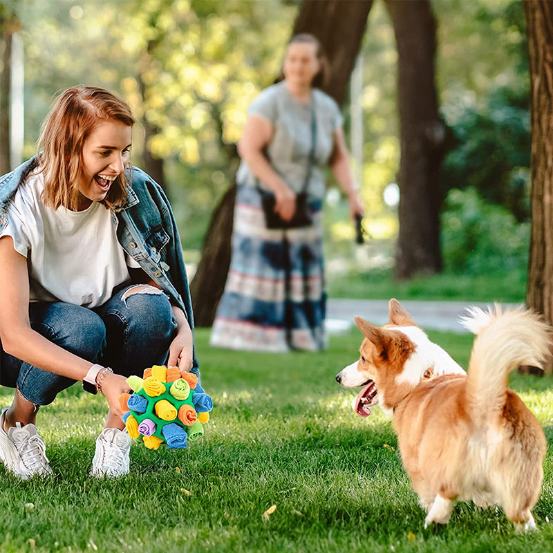 Dog Chew Toy