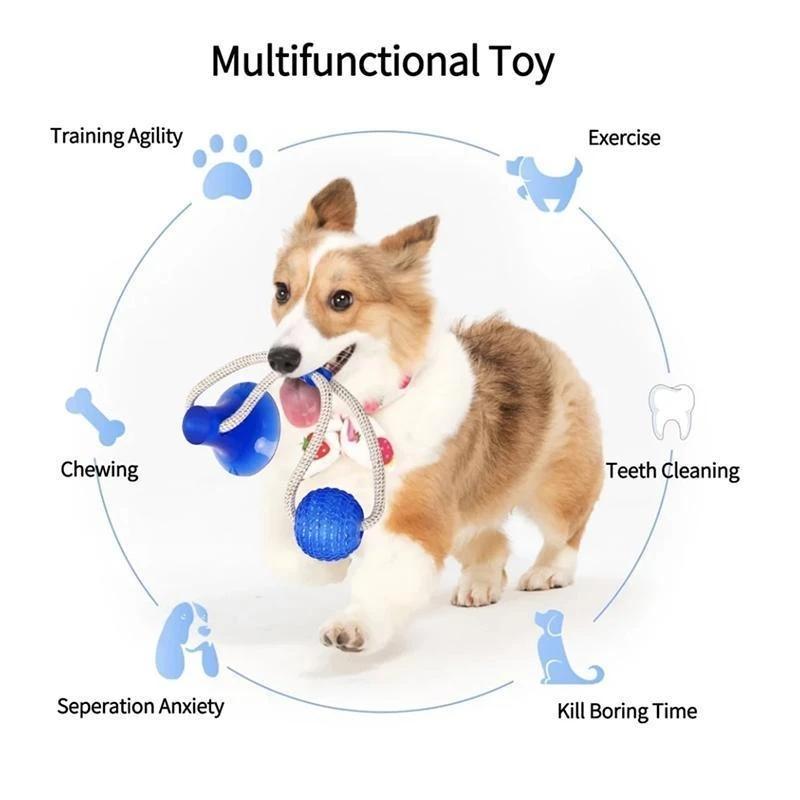 Dog Bite Toy Interactive food leaker toy with Suction Cup