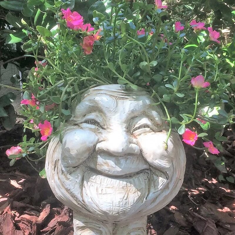 Funny Expression Flowerpot