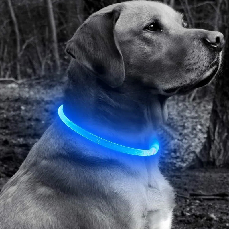 USB Charging Pet Light-emitting Collar