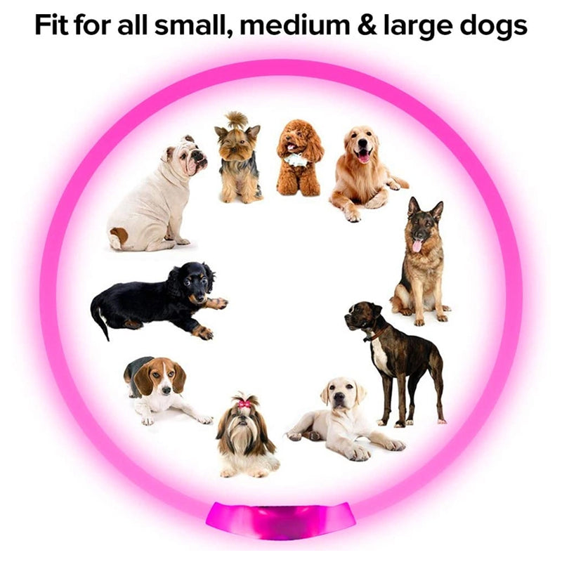 USB Charging Pet Light-emitting Collar