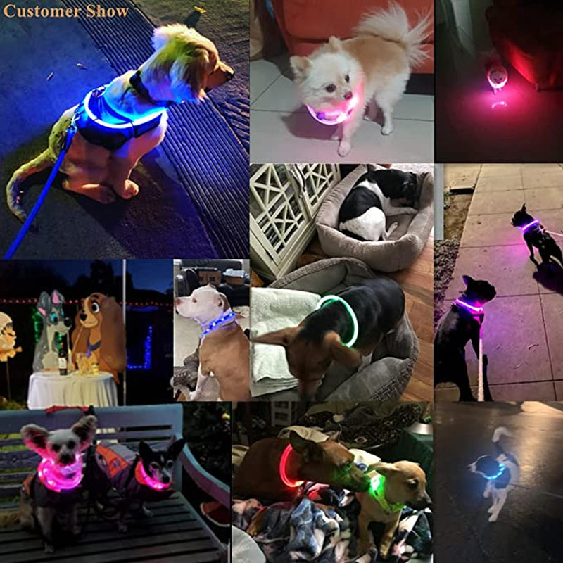 USB Charging Pet Light-emitting Collar