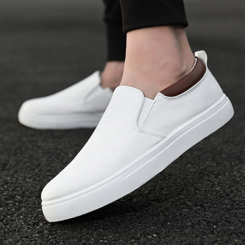 Men's Plus Size Canvas Shoes