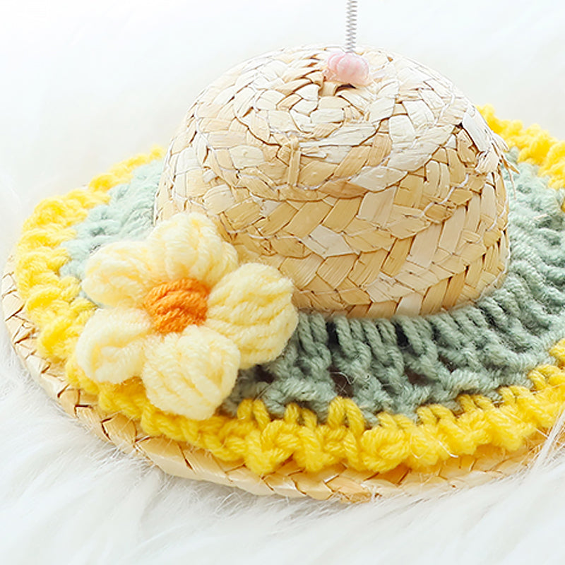 Pet Straw Hat