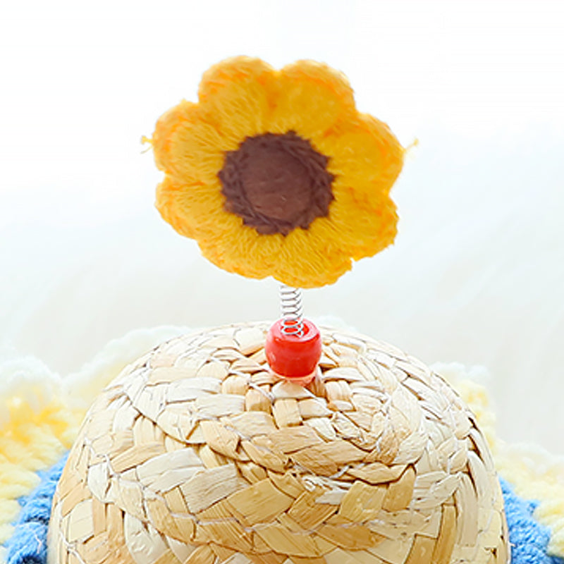 Pet Straw Hat