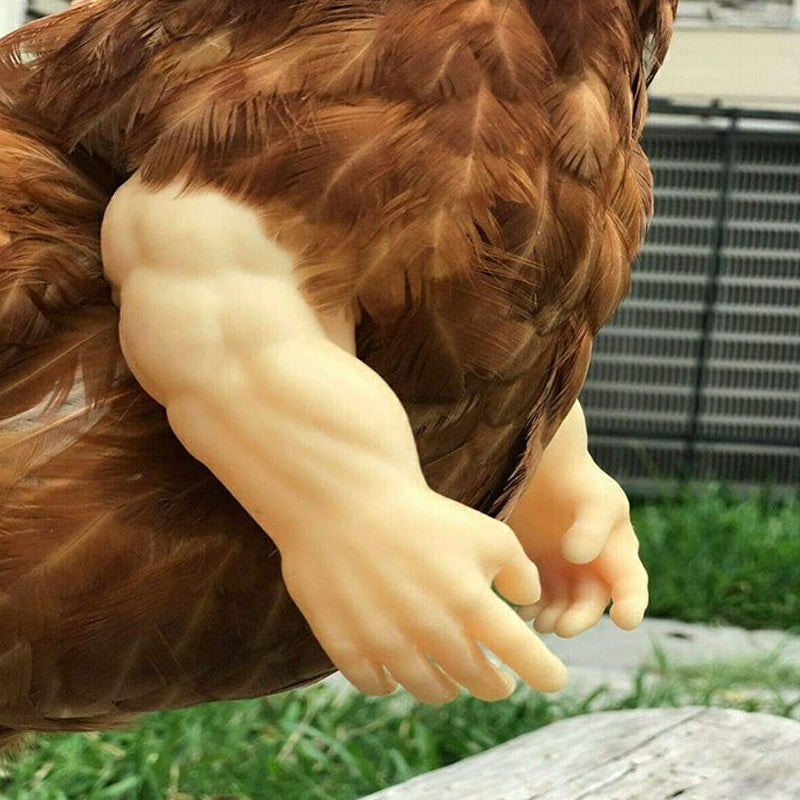 Funny 3D-Printed Arms For Chicken