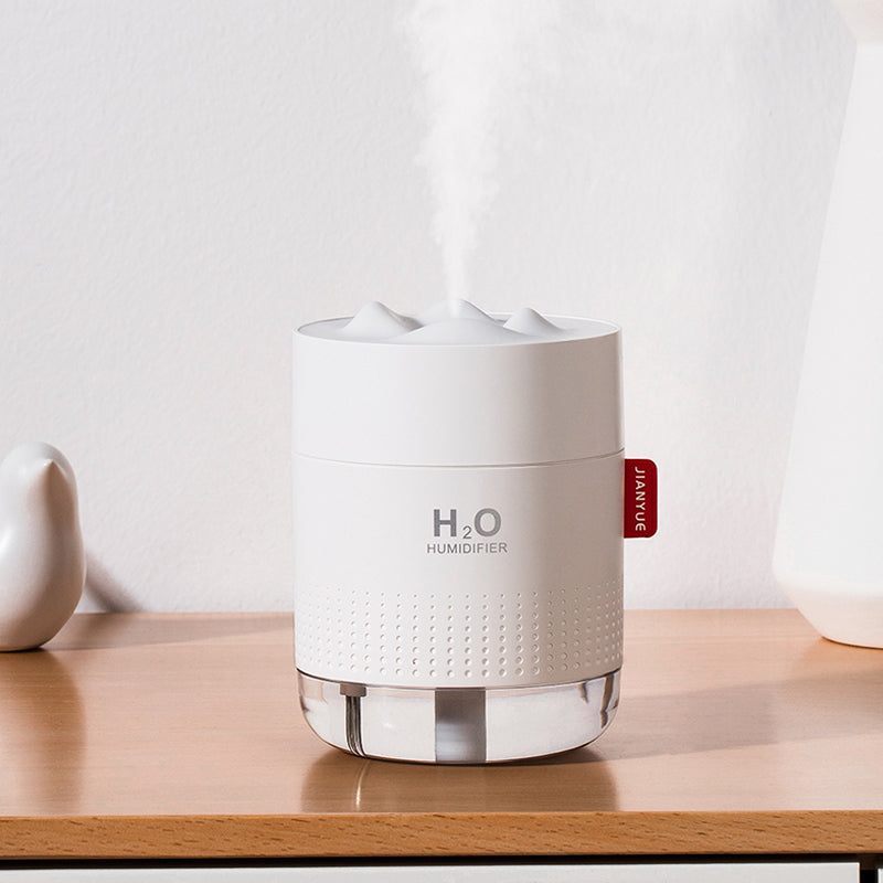 Mist Humidifier with Night Light