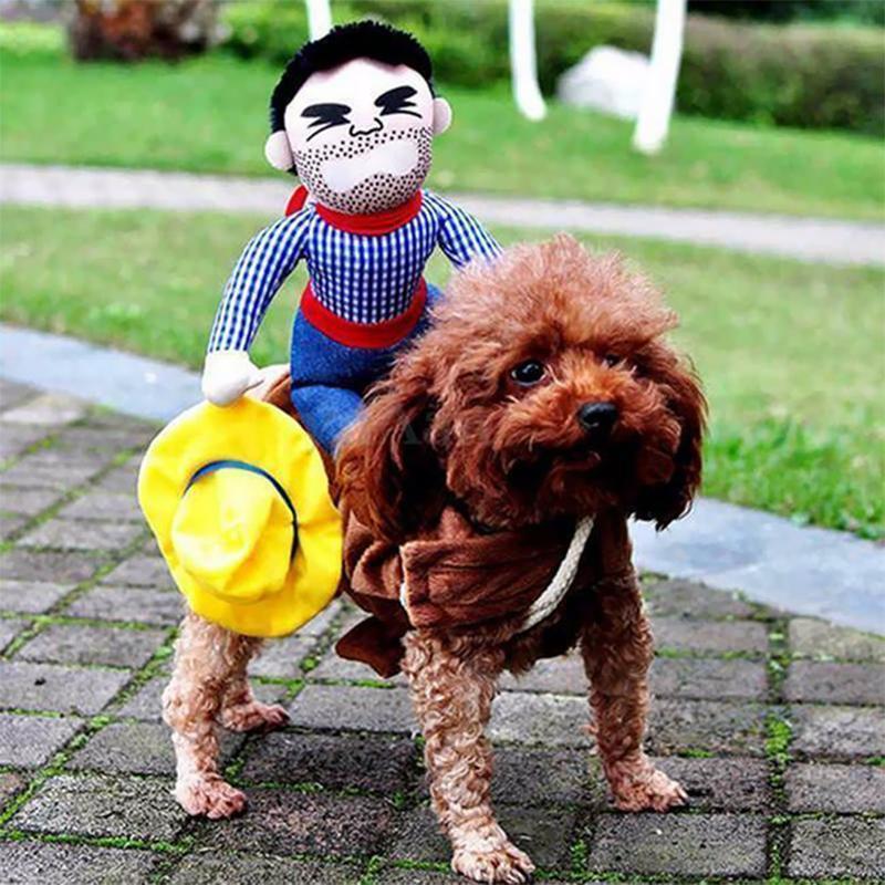 Funny Pet Costumes