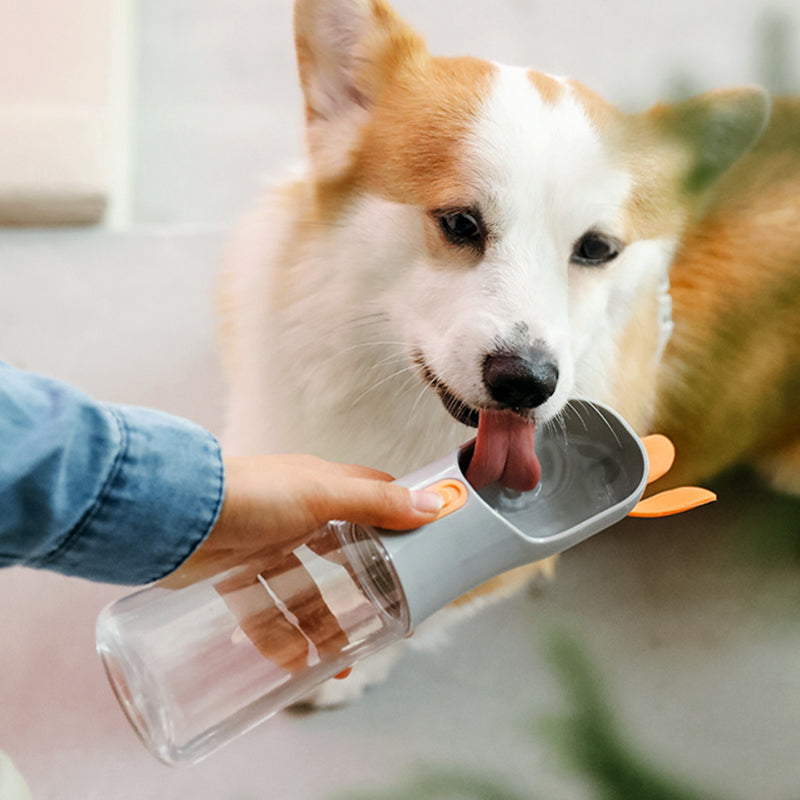 Food & Water Bottle for Dogs