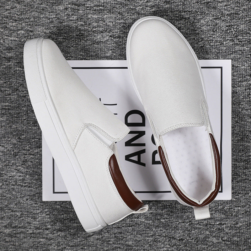Men's Plus Size Canvas Shoes