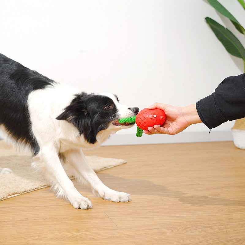 Rubber Sounding Molar Toys