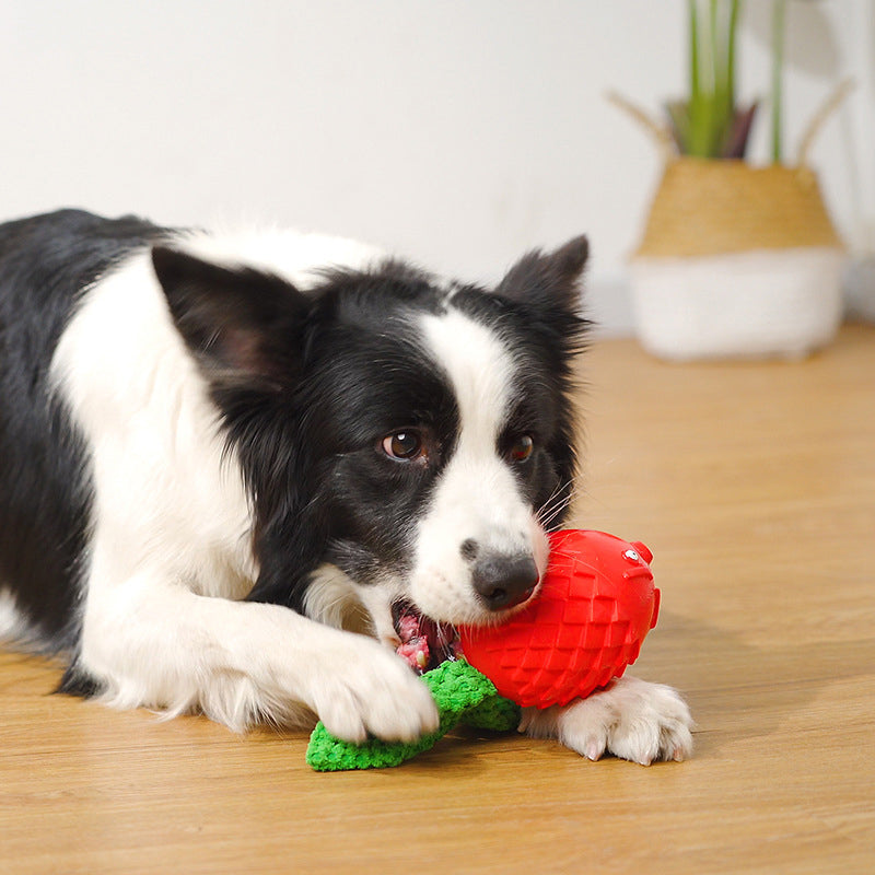 Rubber Sounding Molar Toys