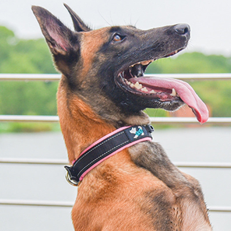 Nylon Reflective Dog Collar