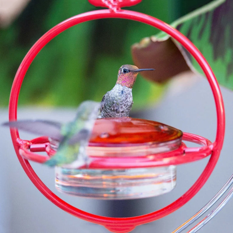 Hummble Slim Hummingbird Feeder