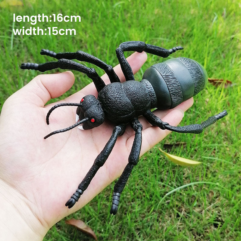 Simulated Insect Model