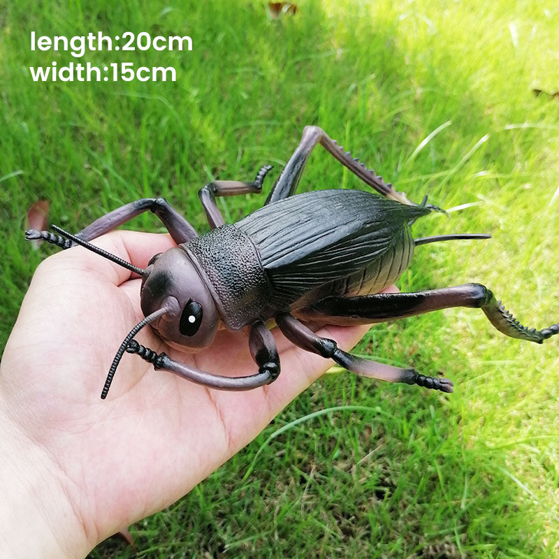 Simulated Insect Model