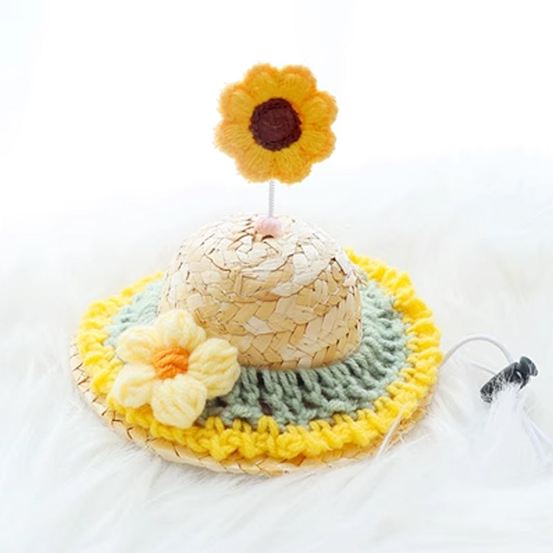 Pet Straw Hat