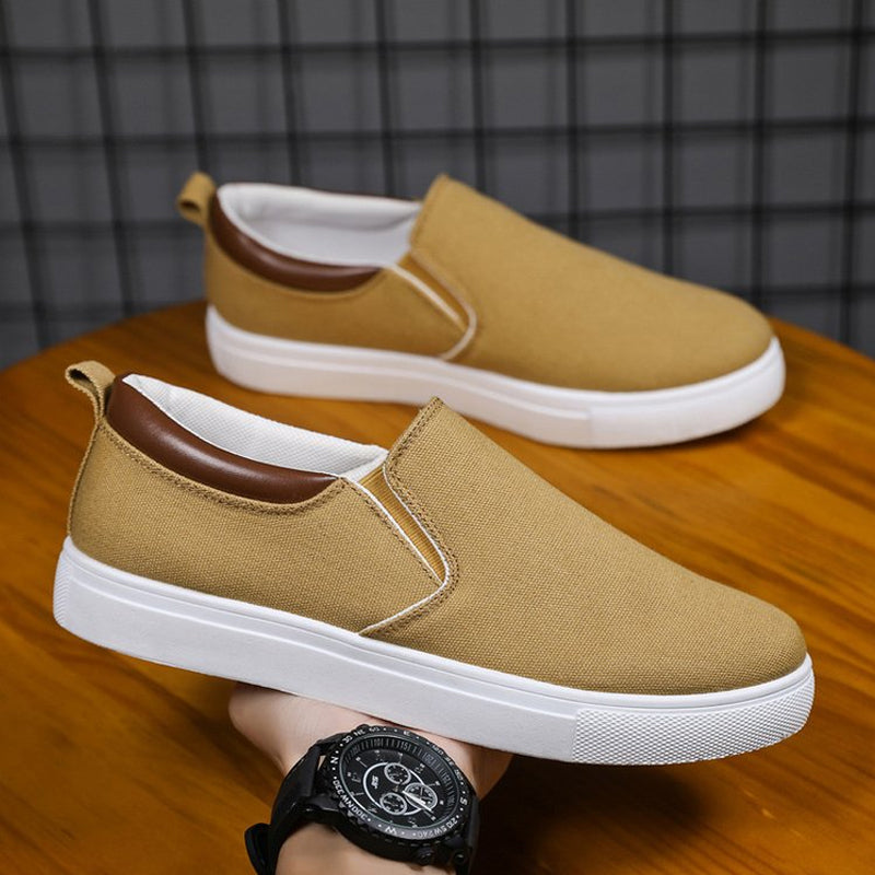 Men's Plus Size Canvas Shoes
