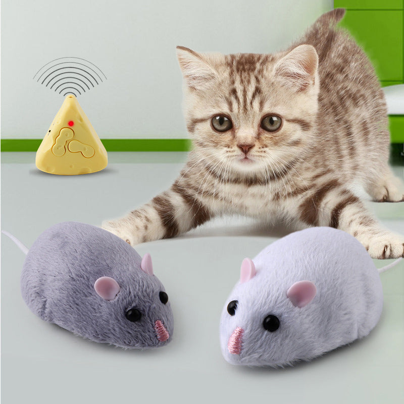 Remote Control Mouse Mice