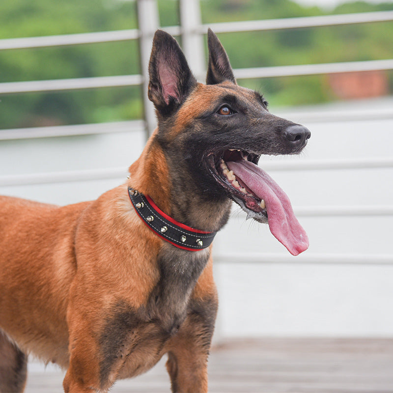 Nylon Reflective Dog Collar