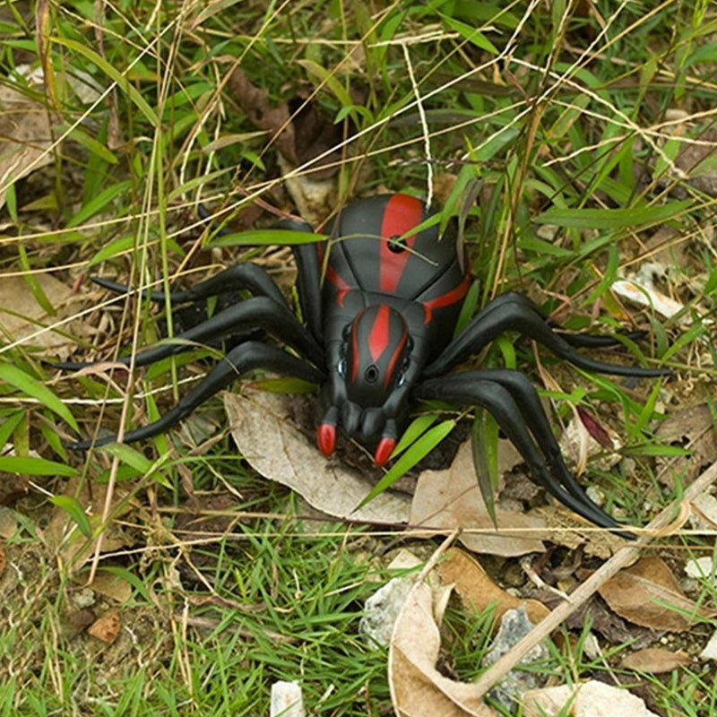 Electric Insect Toy