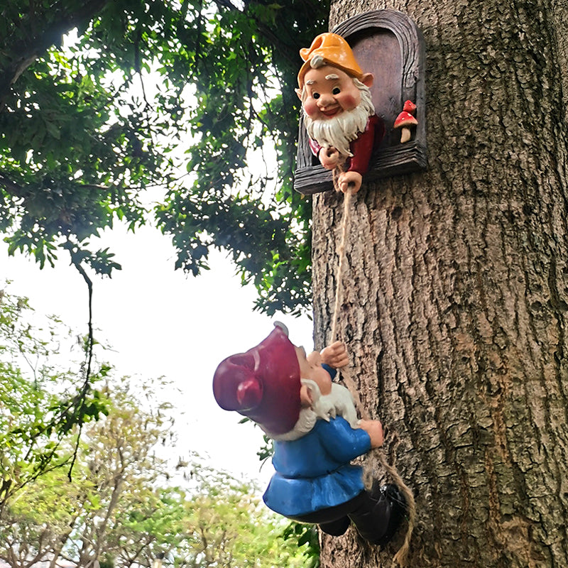 Climbing Gnomes  Decoration