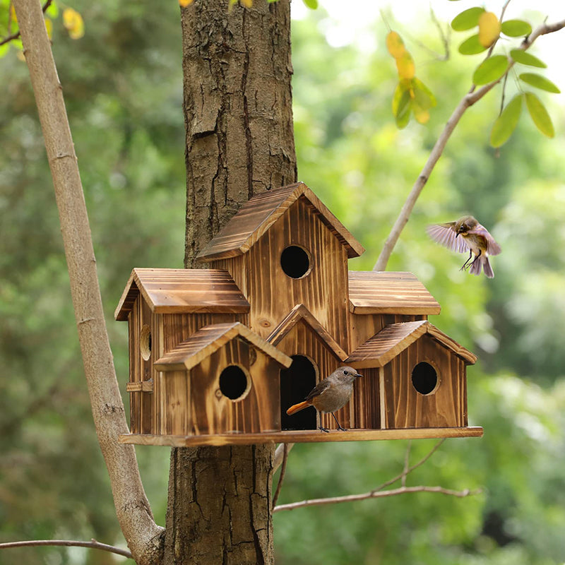 Natural Bird House for Backyard