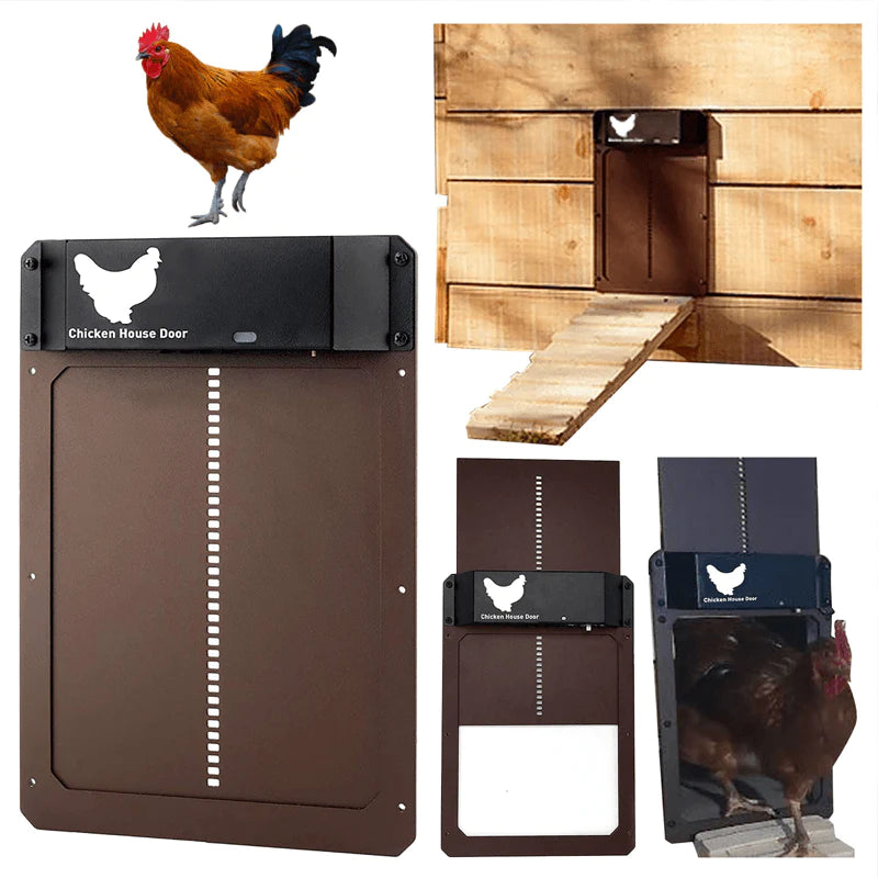 Automatic Poultry House Door