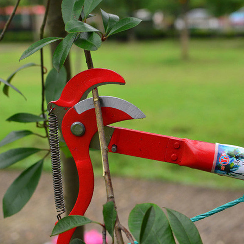 High-Altitude Extension Lopper Branch Scissors